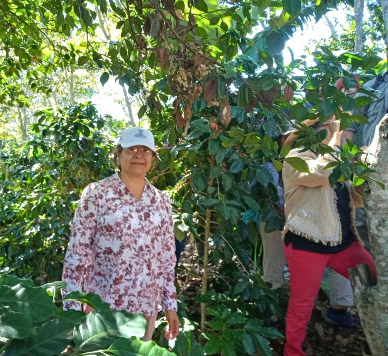 Compartimos entrevista realizada a Rocio Romero y Gisela Illescas de MAELA México: Agroecología y organización, herramientas frente a la crisis climática.